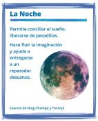 La Noche